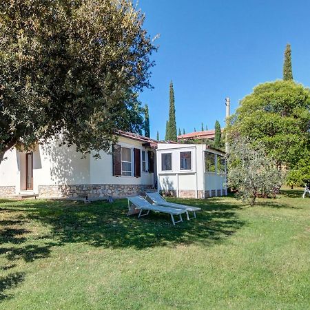 Artemisia Negli Ulivi B&B Magliano in Toscana Bagian luar foto