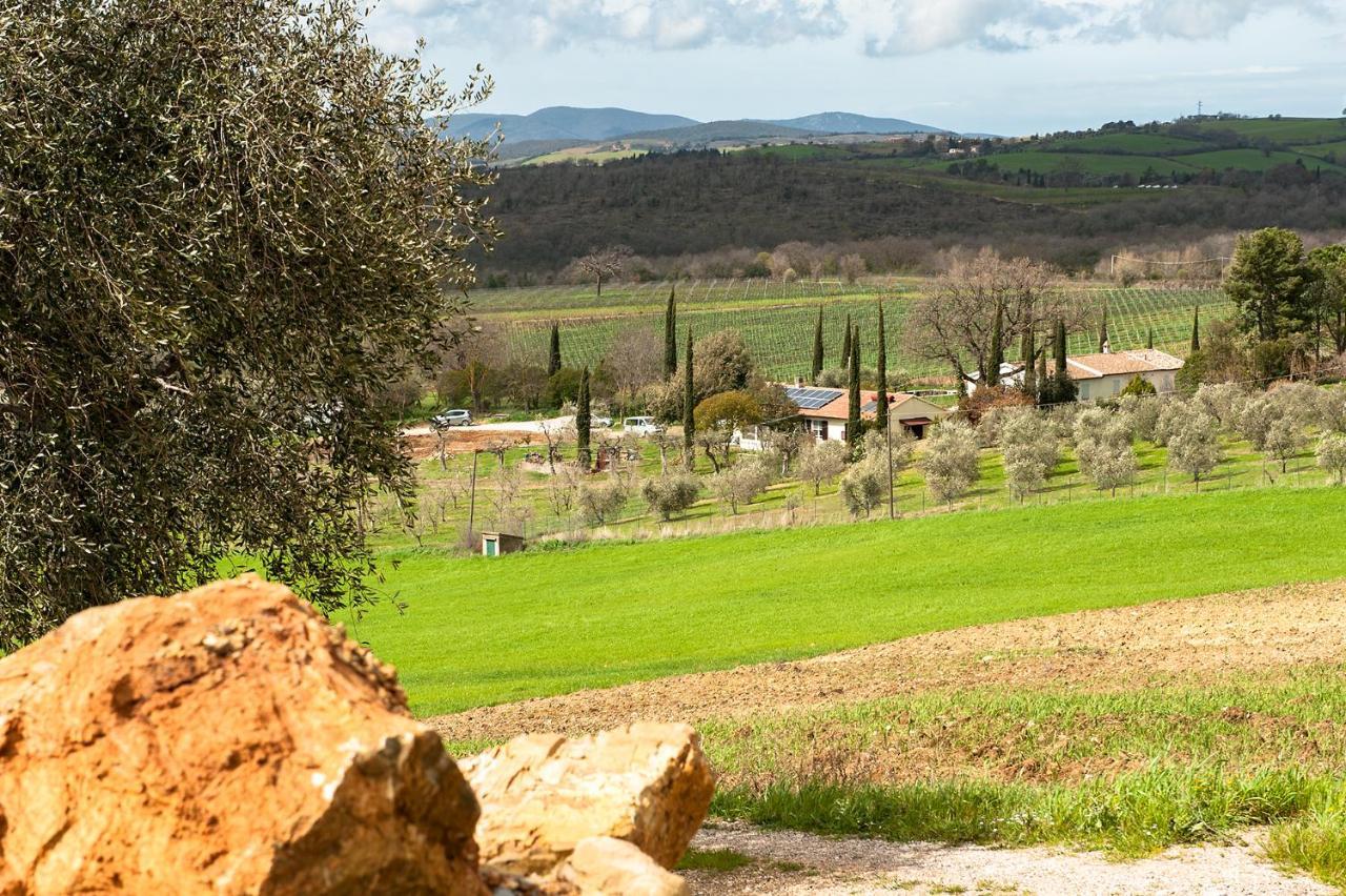 Artemisia Negli Ulivi B&B Magliano in Toscana Bagian luar foto