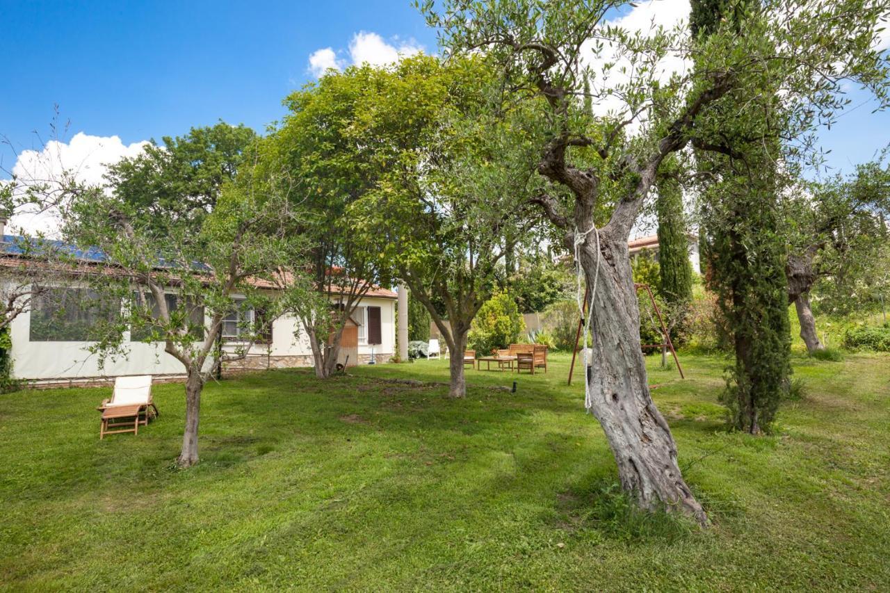 Artemisia Negli Ulivi B&B Magliano in Toscana Bagian luar foto