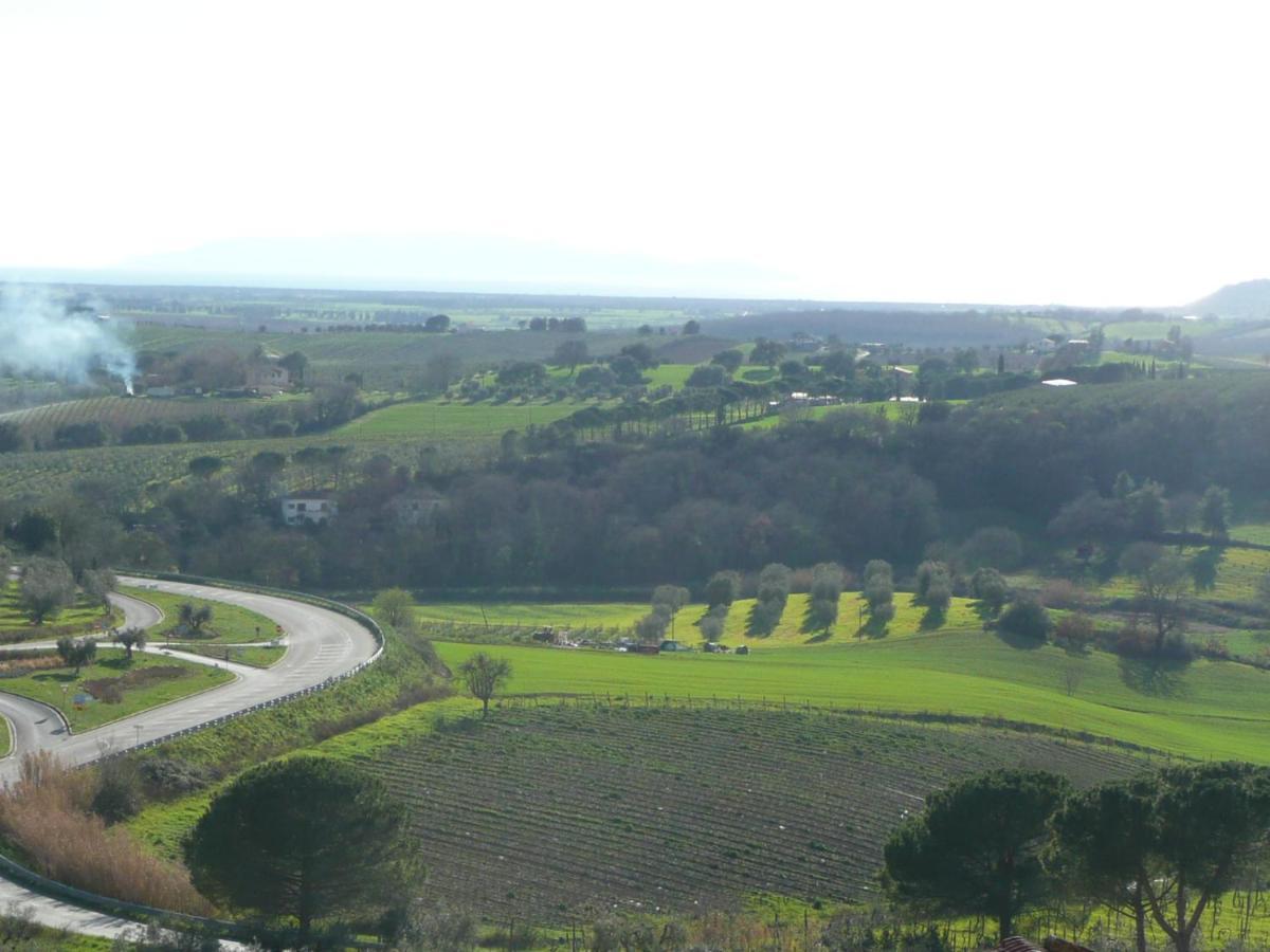 Artemisia Negli Ulivi B&B Magliano in Toscana Bagian luar foto