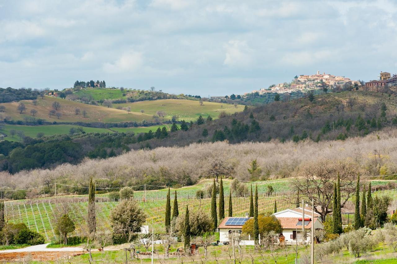 Artemisia Negli Ulivi B&B Magliano in Toscana Bagian luar foto