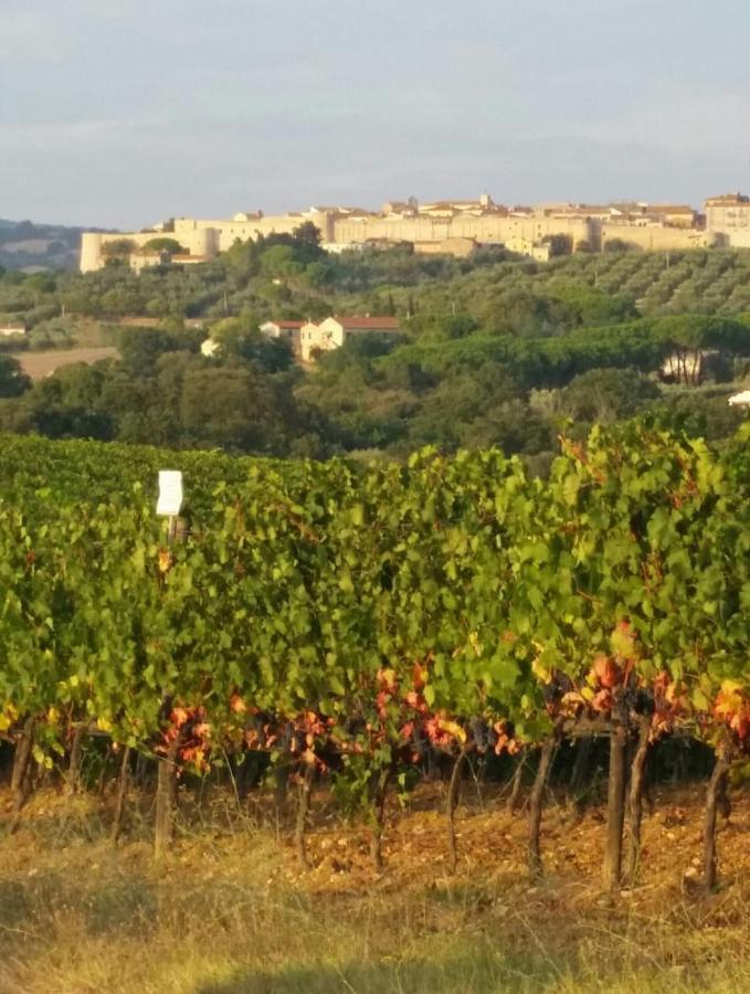 Artemisia Negli Ulivi B&B Magliano in Toscana Bagian luar foto