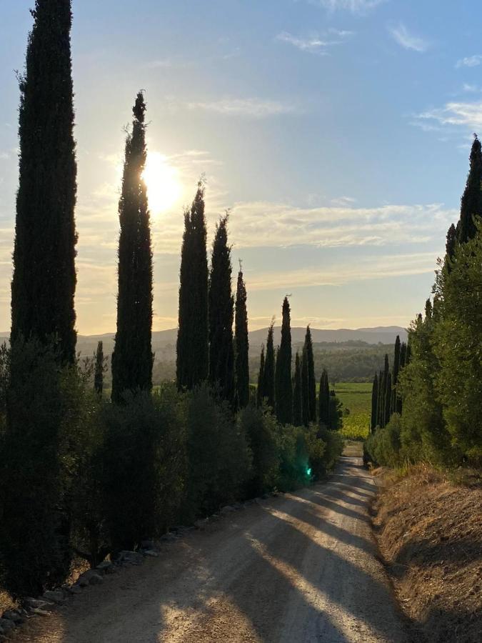Artemisia Negli Ulivi B&B Magliano in Toscana Bagian luar foto
