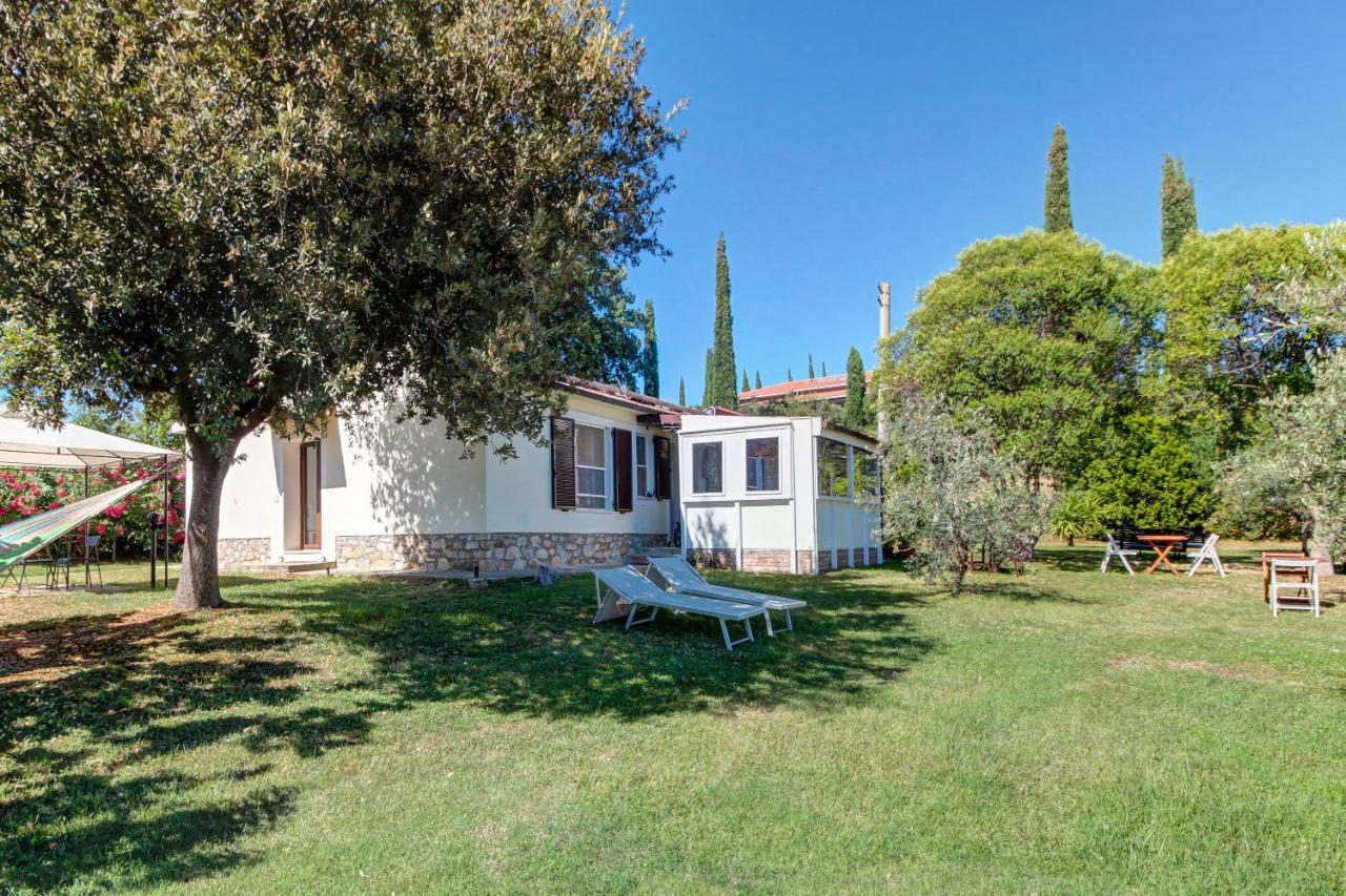 Artemisia Negli Ulivi B&B Magliano in Toscana Bagian luar foto