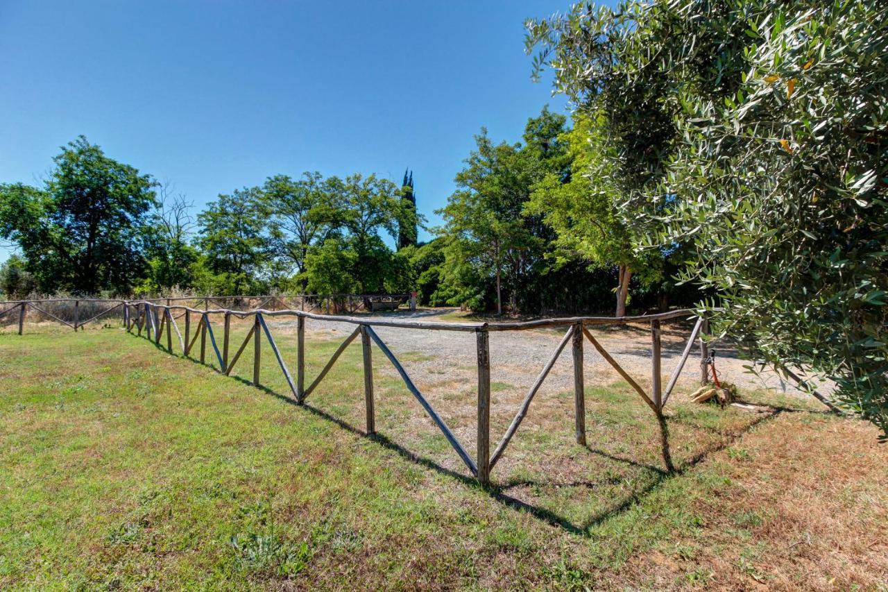 Artemisia Negli Ulivi B&B Magliano in Toscana Bagian luar foto