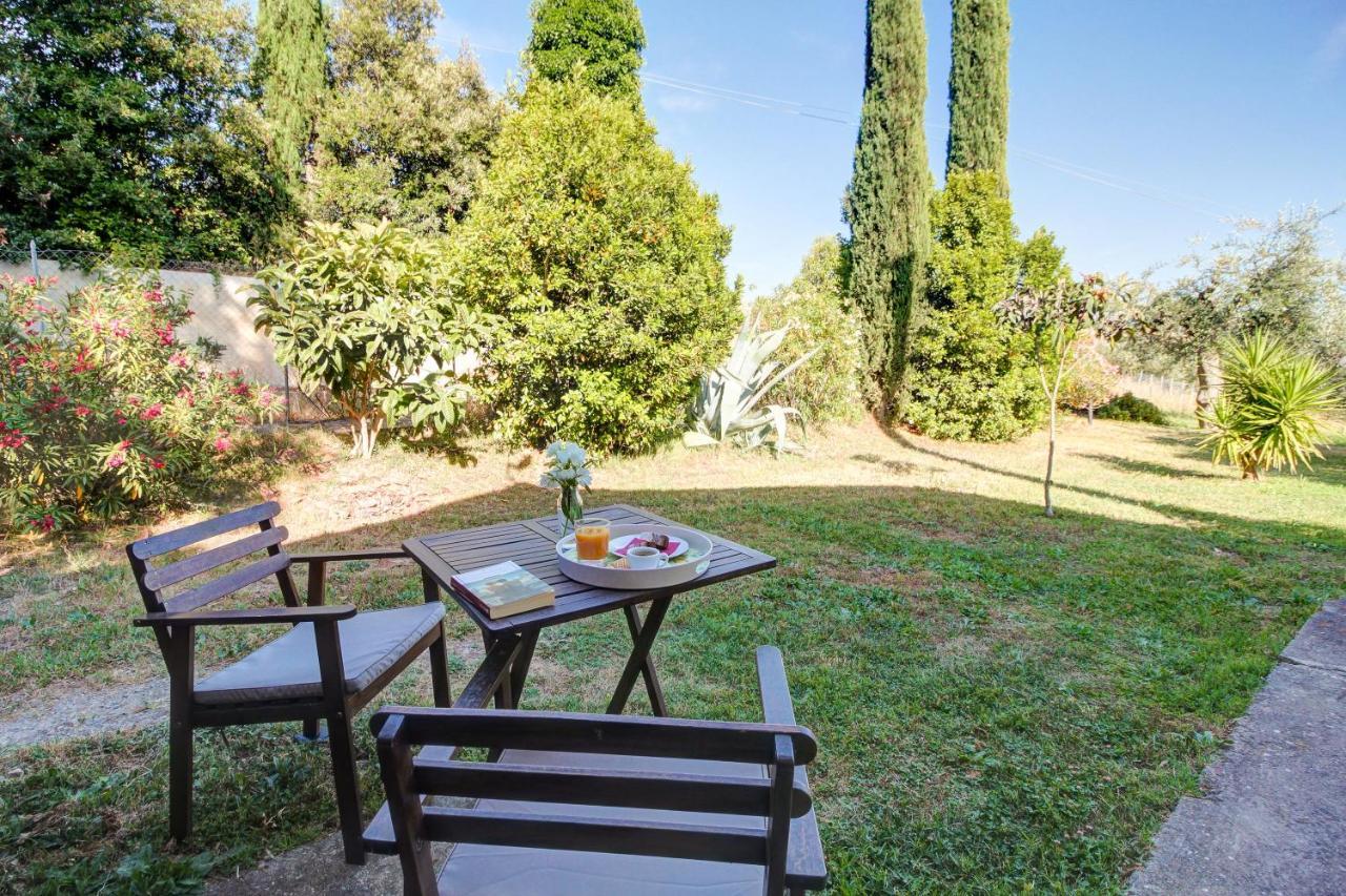 Artemisia Negli Ulivi B&B Magliano in Toscana Bagian luar foto