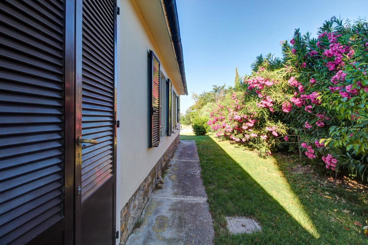 Artemisia Negli Ulivi B&B Magliano in Toscana Bagian luar foto
