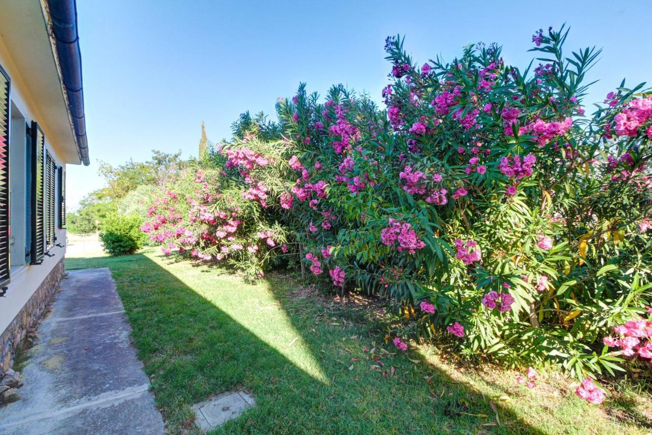 Artemisia Negli Ulivi B&B Magliano in Toscana Bagian luar foto